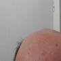 1754051628504116-0.jpg